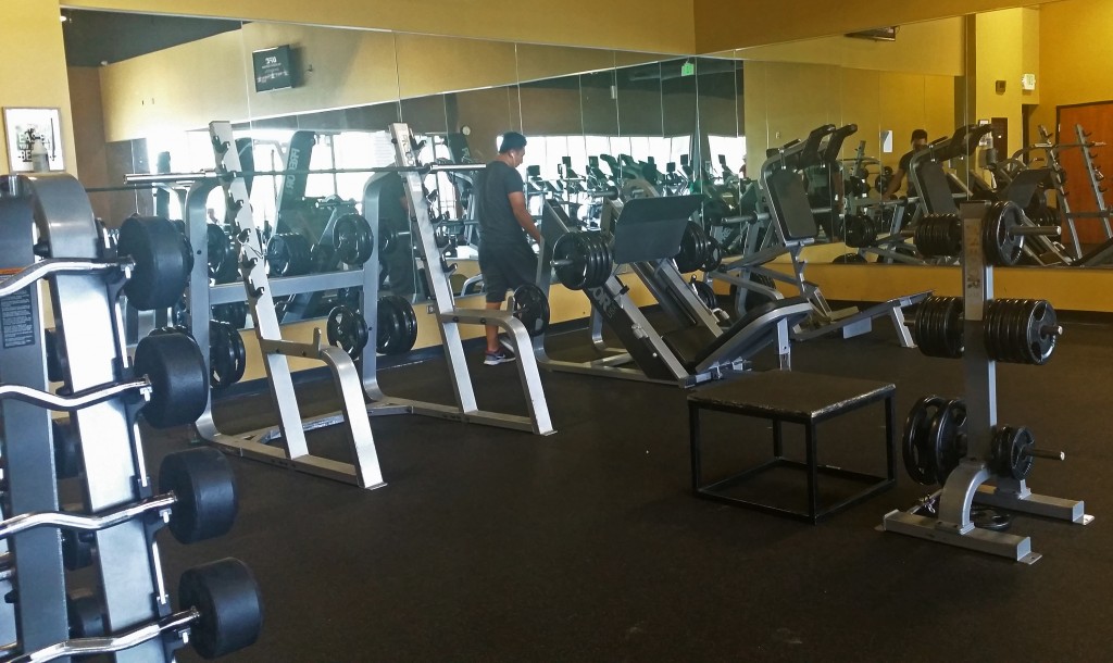 A newly rebranded Powerhouse Gym is set for new equipment and other upgrades. Photos courtesy of Powerhouse.