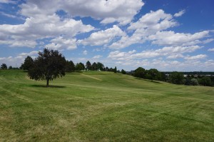 Levitt chose Ruby Hill Park for its natural bowl-shaped landscape. Photo by George Demopoulos.