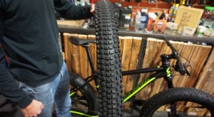 Wade Washburn plus sized tires ftd