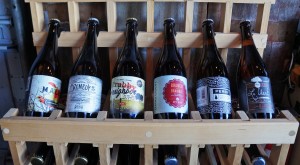 Stem Ciders 3 ftd