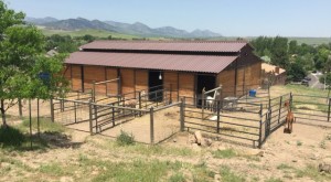 alpaca shed