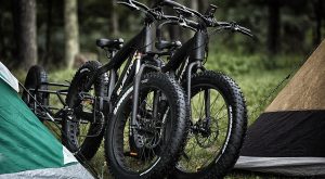 fat bikes