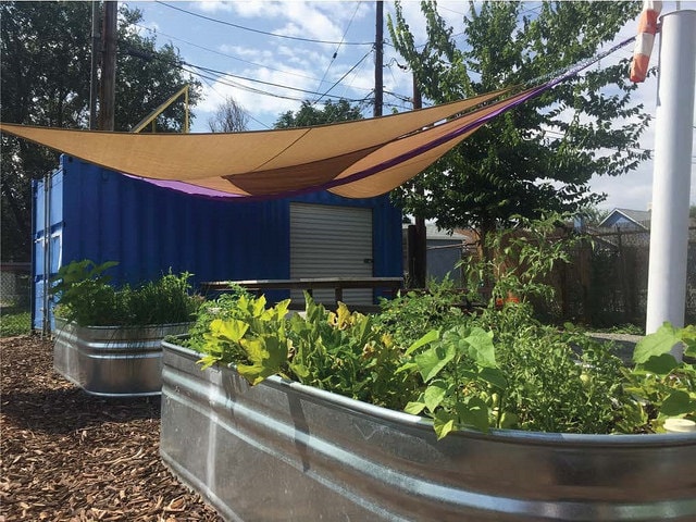 Backyard landscaping