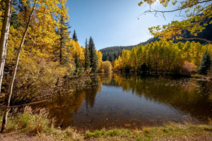 Grant mansion pond