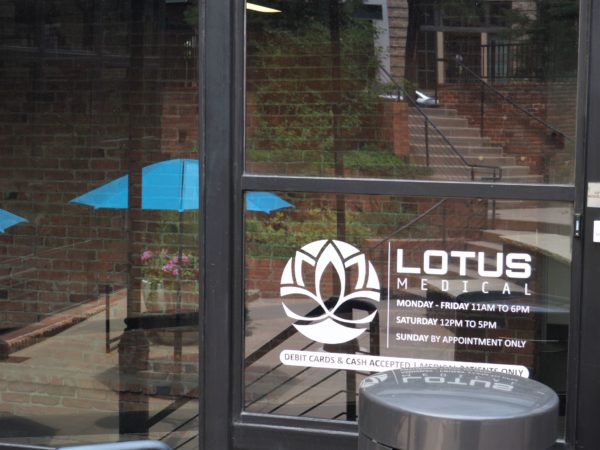 Lotus Medical photo