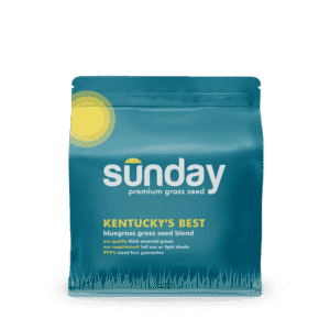 sundaygrassseed