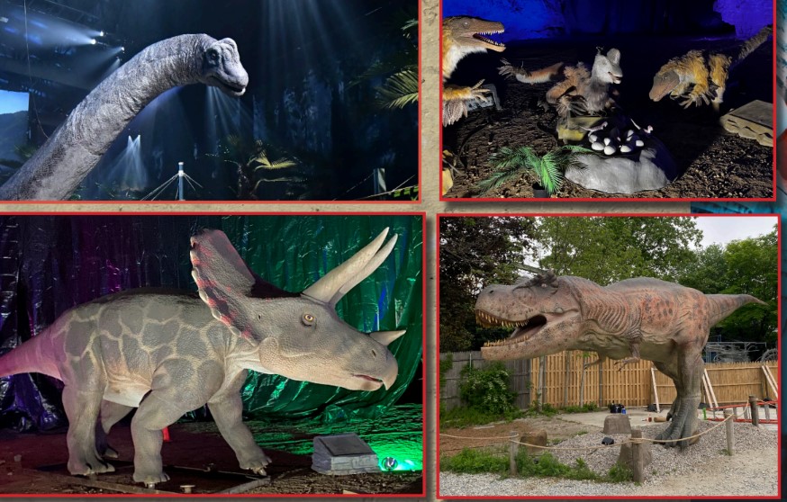 dinosaur