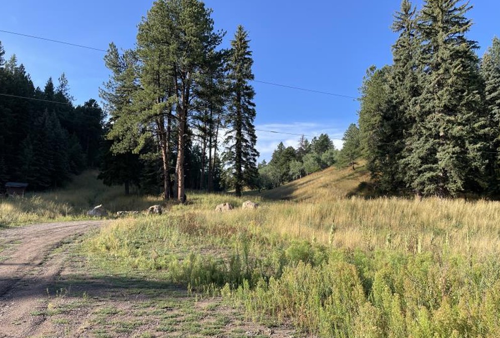 Cimarron Peak subdivision - Morrison