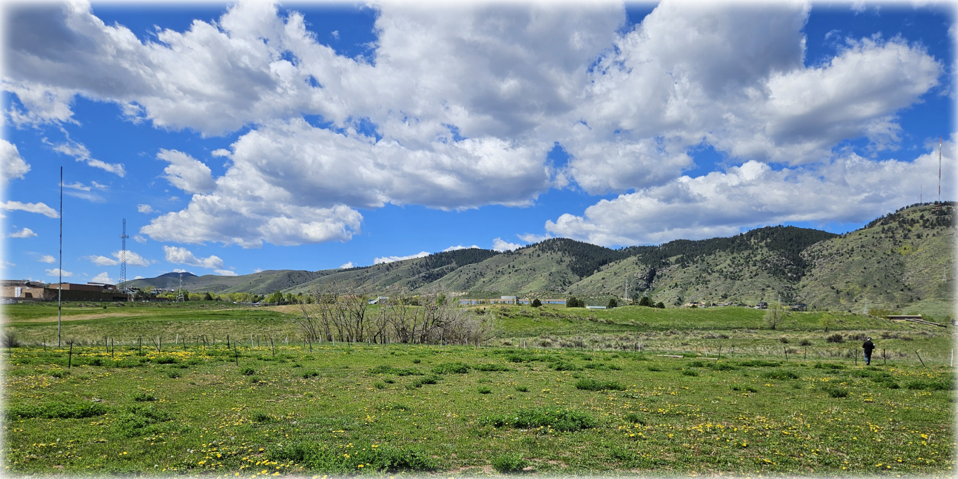 A picture of the project site