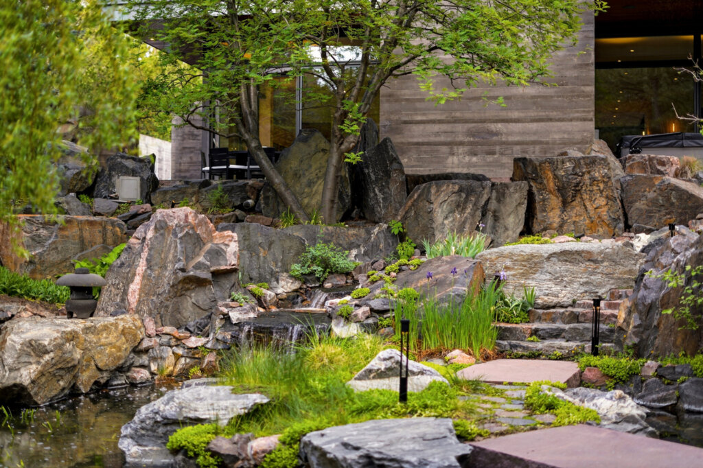 Koi pond and waterfall in the Japanese-inspired garden at 31 Albion Place